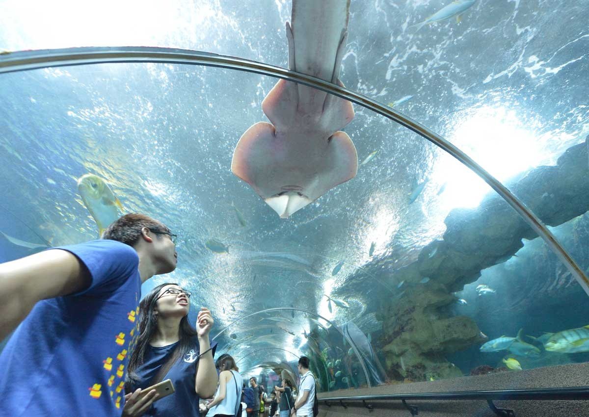 Hình ảnh đảo thiên đường Sentosa và quá khứ đen tối - Ảnh 12.