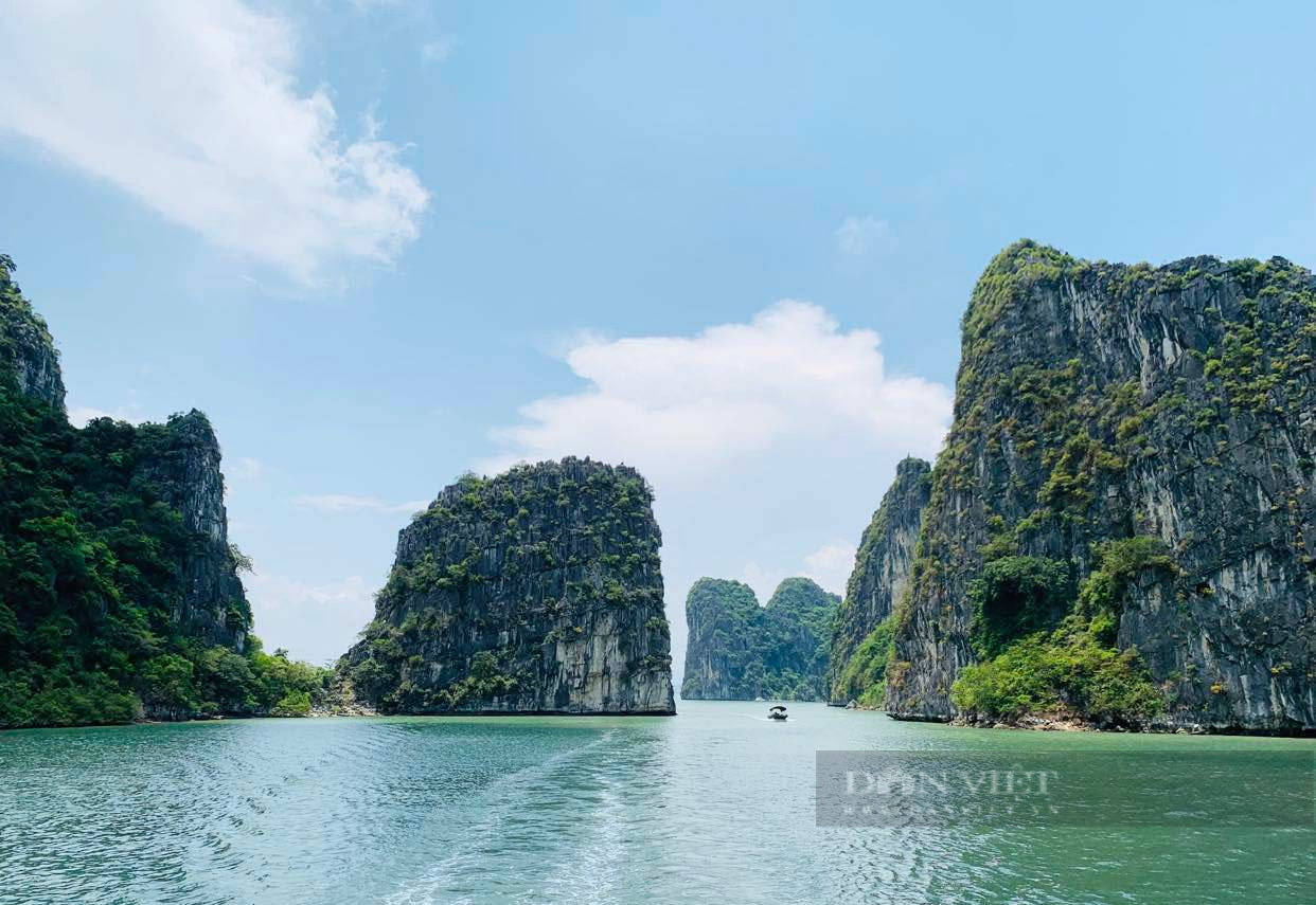 Bất ngờ với khách Tây thốt lên điều này sau một ngày trải nghiệm du thuyền Hạ Long - Ảnh 1.