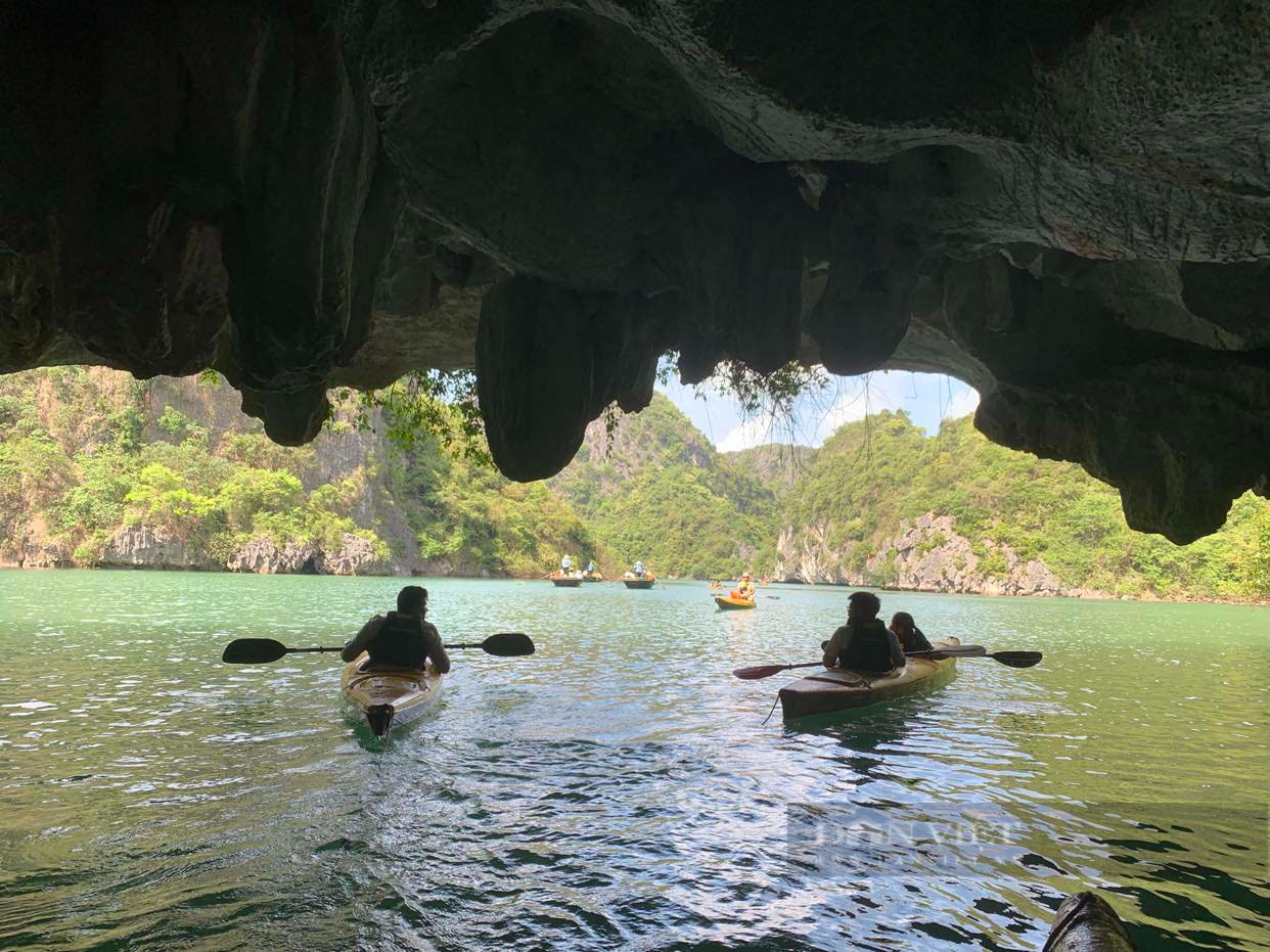 Du khách nước ngoài bất ngờ thốt lên điều này sau một ngày trải nghiệm du thuyền Hạ Long - Ảnh 10.