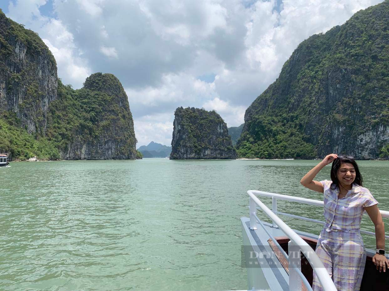 Du khách nước ngoài bất ngờ thốt lên điều này sau một ngày trải nghiệm du thuyền Hạ Long - Ảnh 13.