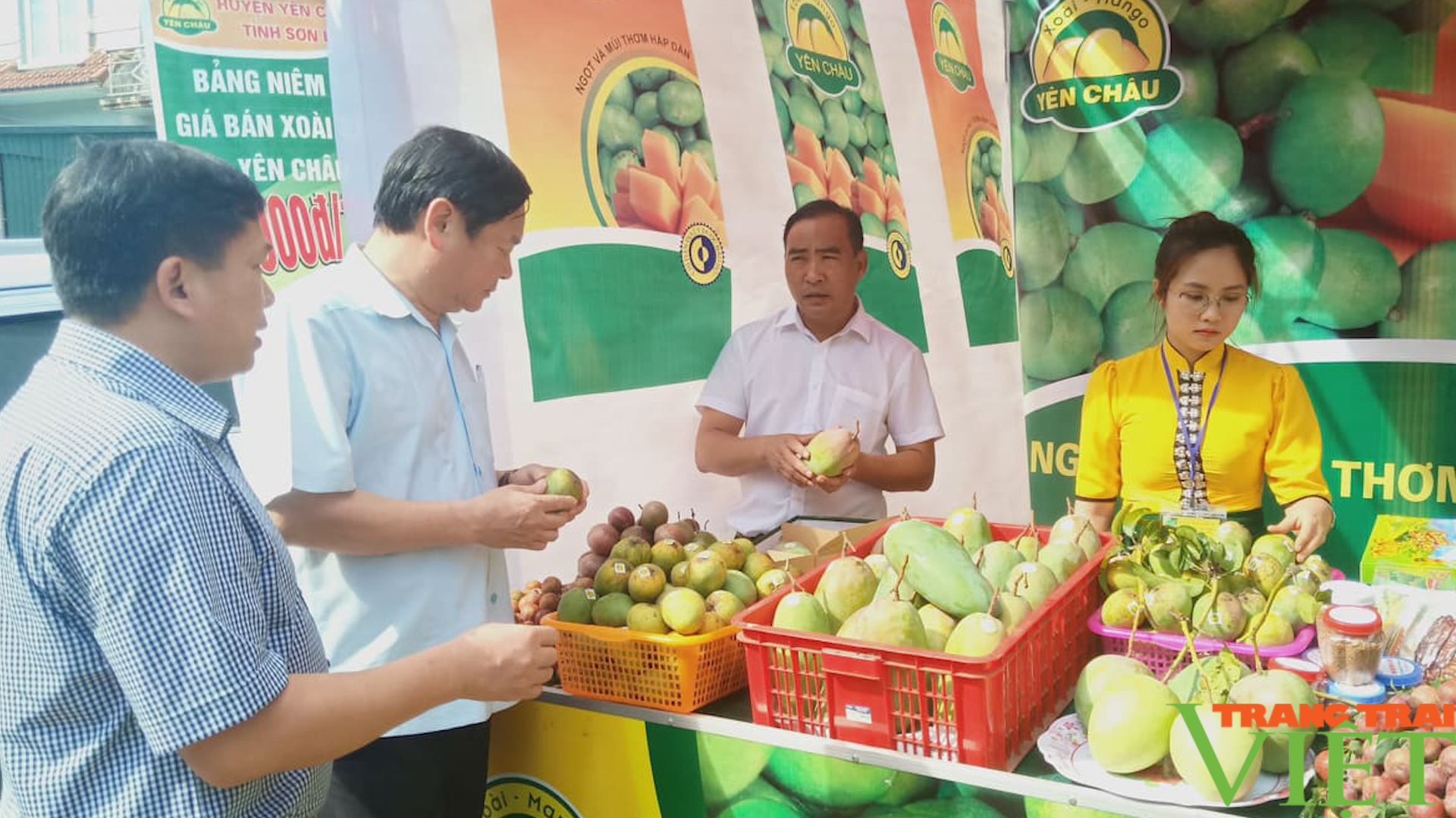 Ngày hội xoài Yên Châu: Sẽ diễn ra vào ngày 10/6  - Ảnh 4.