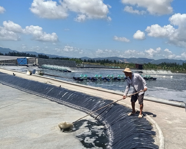 Nuôi tôm công nghệ cao ba giai đoạn, một nông dân Hà Tĩnh lãi tiền tỷ - Ảnh 2. Nuôi tôm công nghệ cao ba giai đoạn, một nông dân Hà Tĩnh lãi tiền tỷ - Ảnh 2.