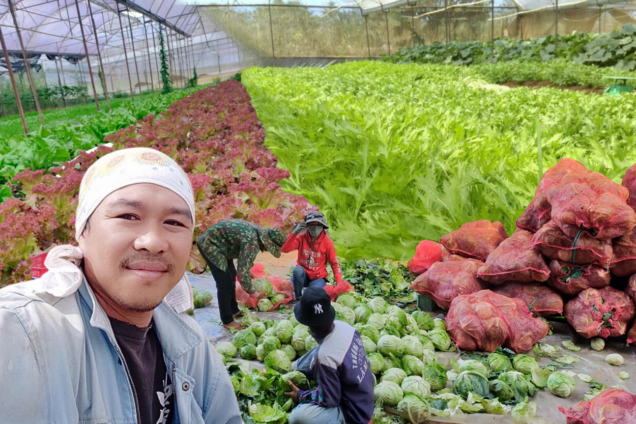 Bean Mart – Siêu thị độc quyền về phân phối sản phẩm rau Nhật Bản tại Đà Nẵng - Ảnh 3. Bean Mart – Siêu thị độc quyền về phân phối sản phẩm rau Nhật Bản tại Đà Nẵng - Ảnh 3.
