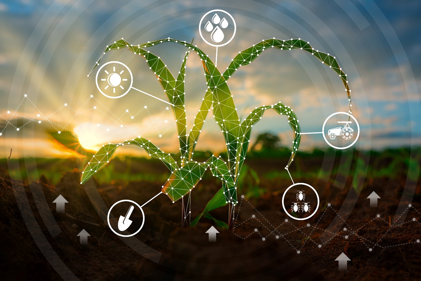 TTC AgriS thúc đẩy xu hướng thực phẩm Plant-based, toàn diện chuỗi giá trị dinh dưỡng bền vững - Ảnh 2.