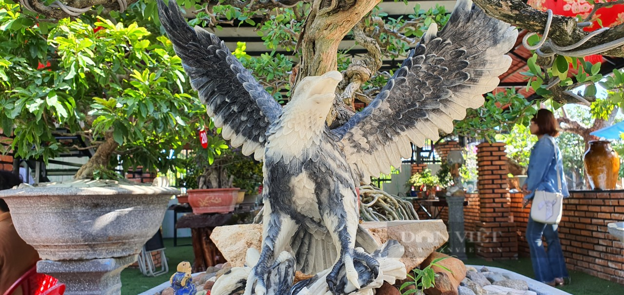 Khánh Hòa: Những cây bonsai độc lạ tranh tài ở Cam Lâm - Ảnh 1.