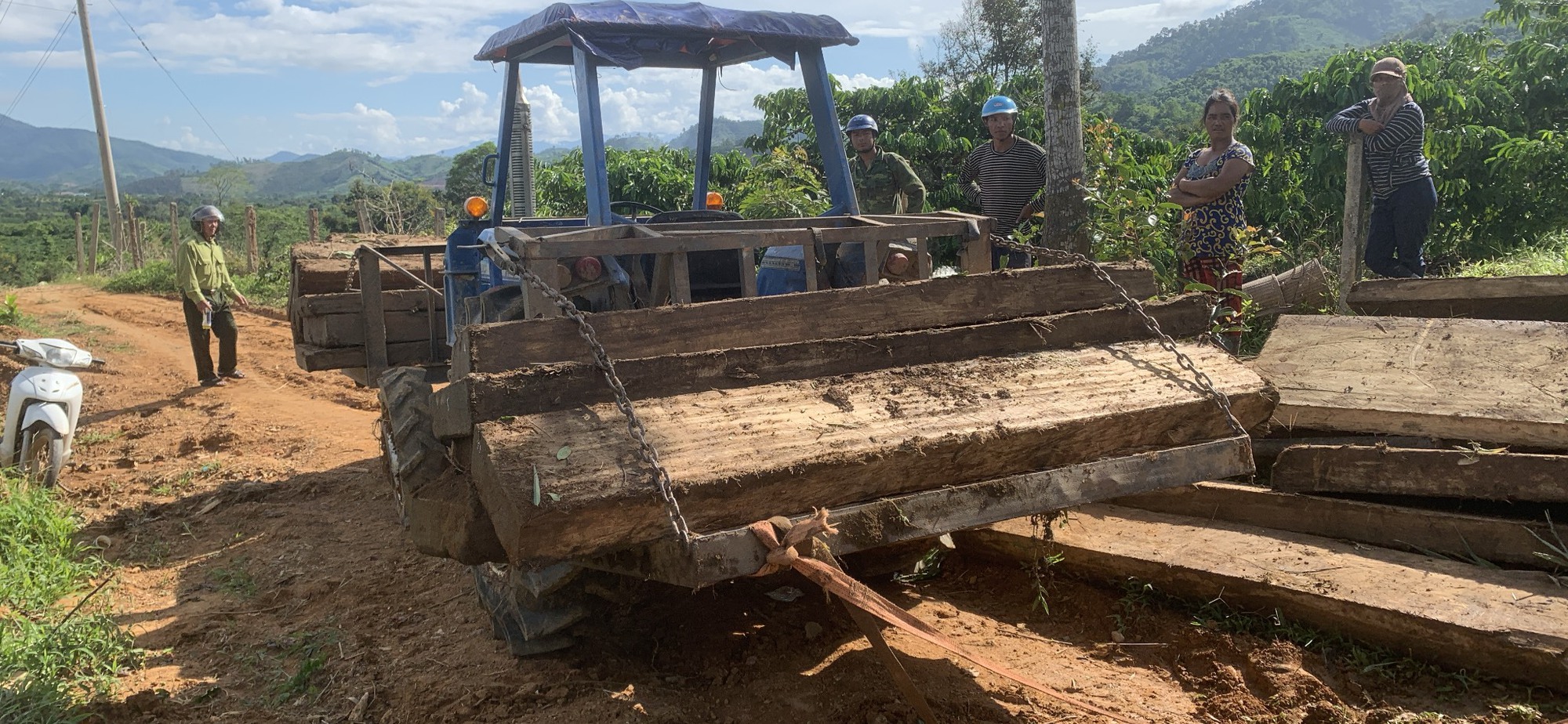 Phát hiện, bắt giữ nhóm đối tượng vận chuyển trái phép lâm sản, tịch thu gần 30 hộp gỗ Hoa Lý - Ảnh 1.