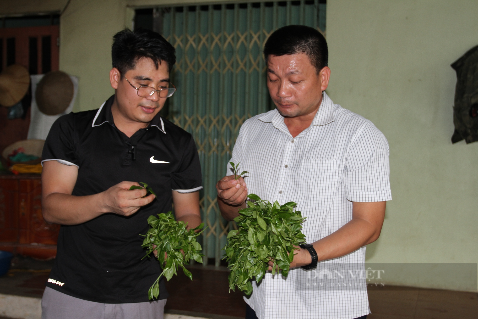 Cử nhân báo chí người Tày về quê chắp cánh cho thương hiệu chè Thái Nguyên vươn xa - Ảnh 4.