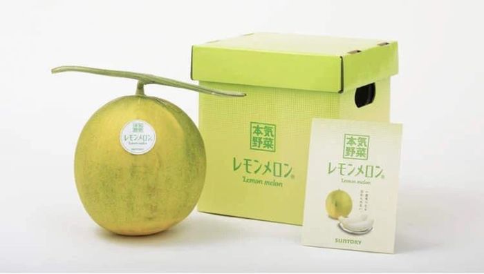 Giống quả mới ngọt thơm như dưa vàng, chua nhẹ như chanh, ăn ngày nắng nóng ngon tuyệt - Ảnh 1.
