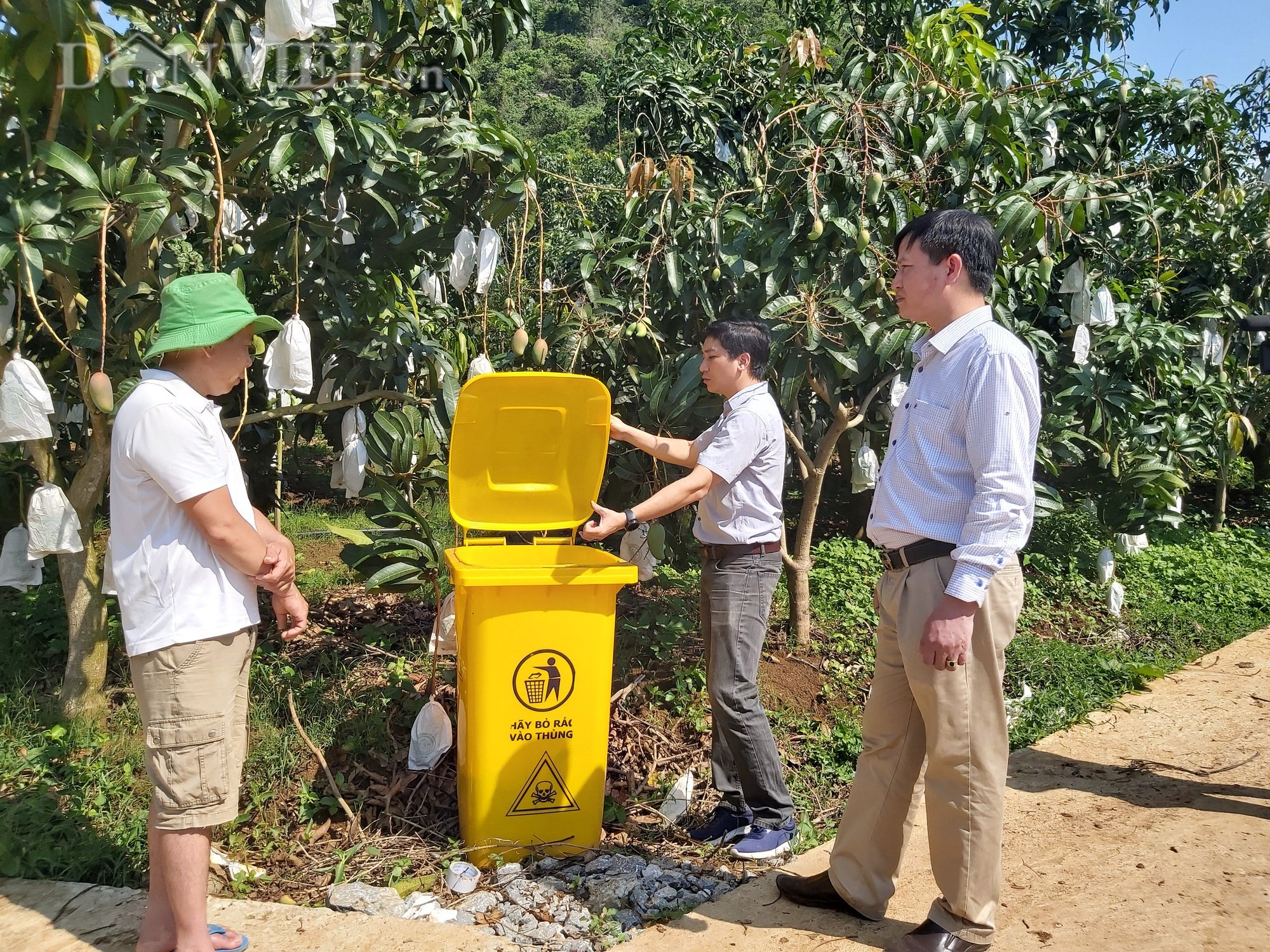 Dùng thuốc bảo vệ thực vật có trách nhiệm, nông dân trồng xoài, nhãn Sơn La tăng 150% lợi nhuận - Ảnh 3.