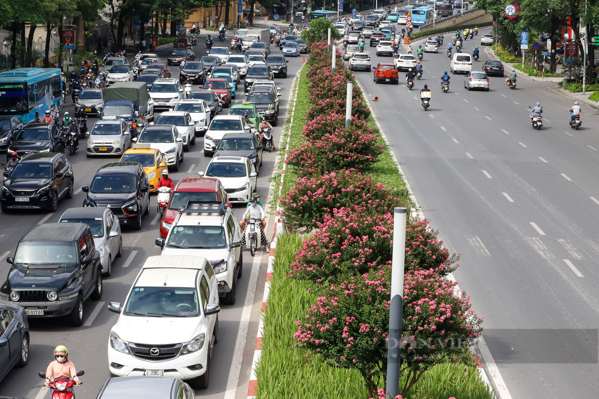 Điểm danh những con đường hoa tường vi đang vào mùa nở rộ cực đẹp ở Hà Nội - Ảnh 1.