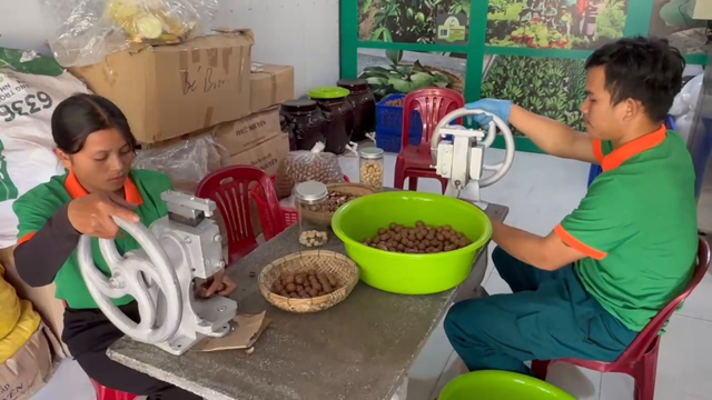 “Quả ngọt” sau 1 thập kỷ “đánh cược” với mắc ca của Bí thư huyện ở Quảng Ngãi - Ảnh 3.
