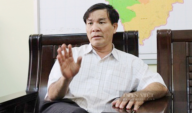Bí thư huyện ở Quảng Ngãi “cược” sinh mạng chính trị đưa cây làm giàu lên vùng đất khó (Bài 1) - Ảnh 1.