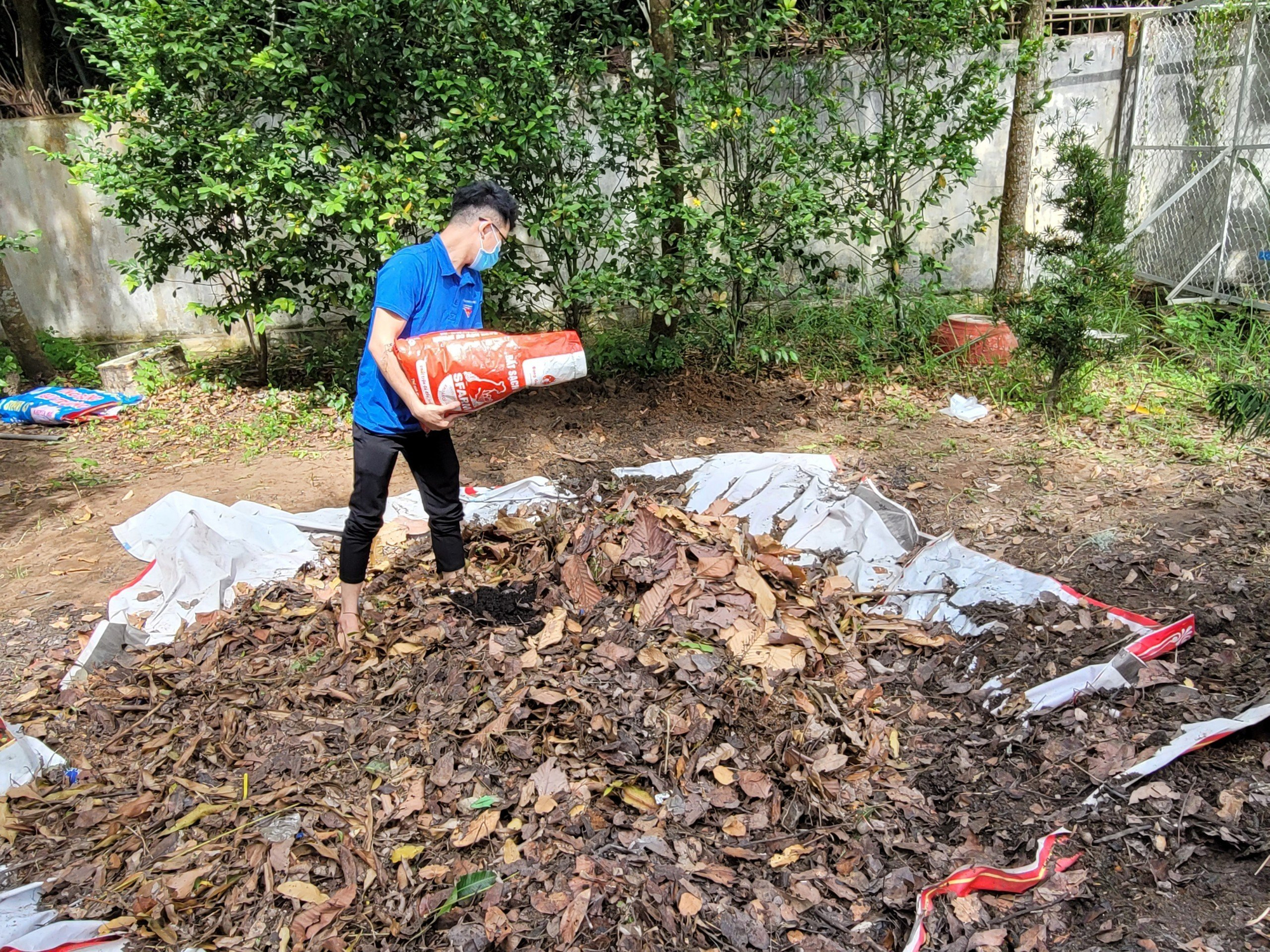  Xử lý rác thành phân hữu cơ trong trường học - Ảnh 1.