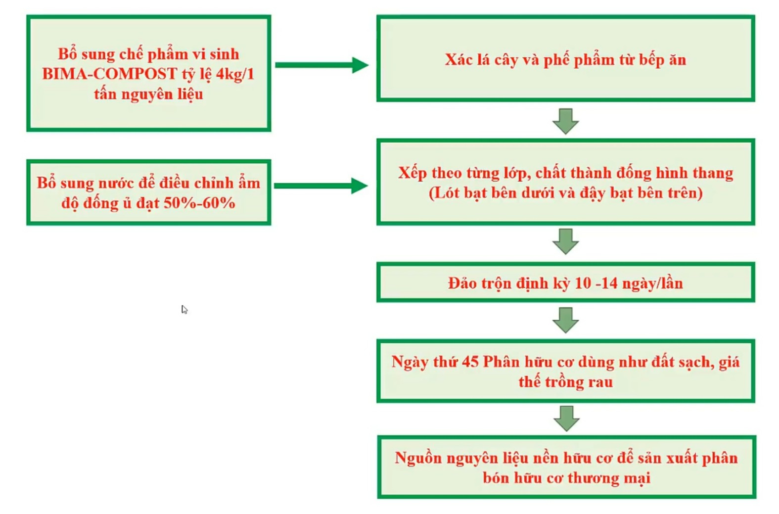  Xử lý rác thành phân hữu cơ trong trường học - Ảnh 3.
