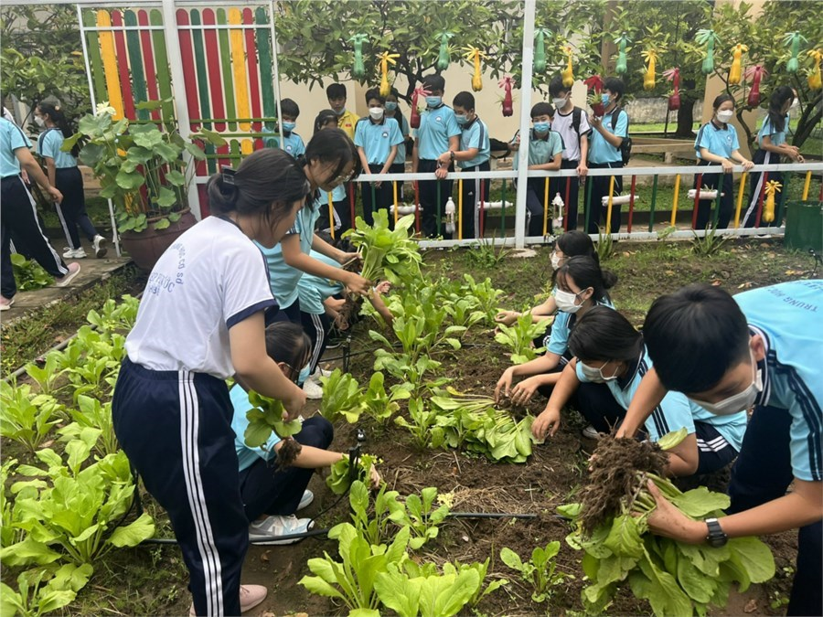  Xử lý rác thành phân hữu cơ trong trường học - Ảnh 4.