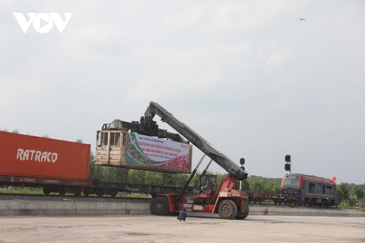 Bắc Giang tiêu thụ 170 nghìn tấn vải - Ảnh 2.
