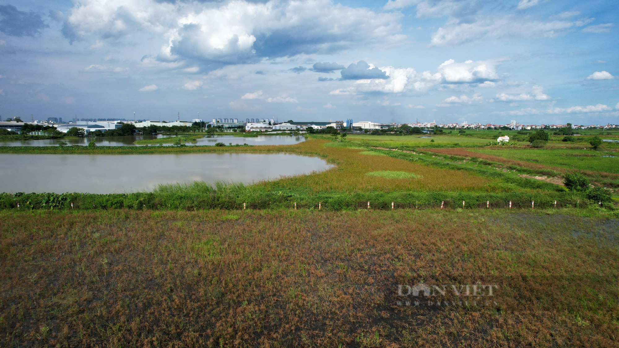 Cận cảnh khu đô thị sinh thái Đồng Mai &quot;biến&quot; thành nơi trồng rau, trạm bê tông 'lậu' - Ảnh 13.