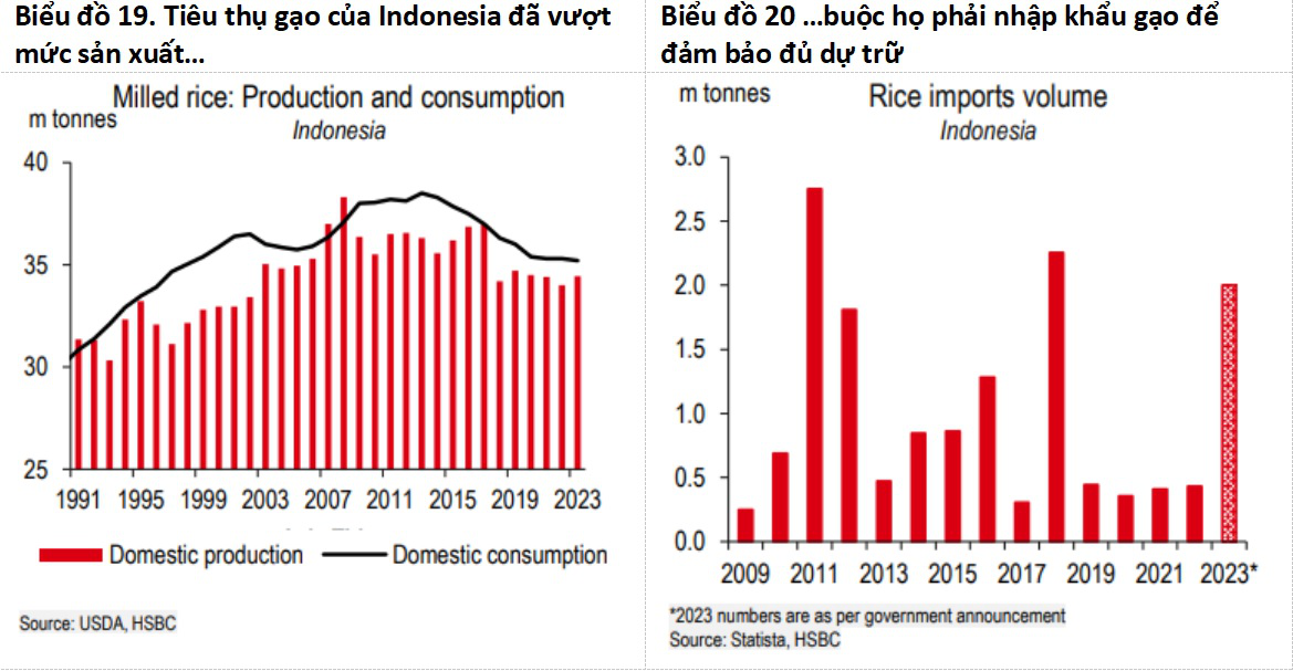 HSBC: El Nino sẽ mạnh lên vào cuối năm 2023, tác động vượt khỏi lĩnh vực nông nghiệp - Ảnh 3.