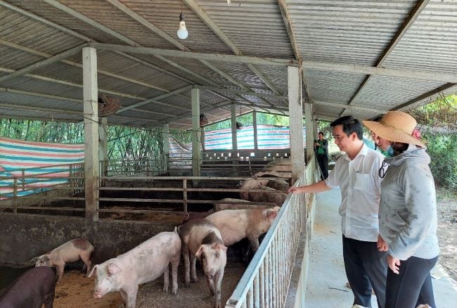TT-Huế: 6 tháng, nông dân đóng góp nhiều tỷ đồng và hiến hàng chục nghìn m2 đất xây dựng NTM  - Ảnh 2.