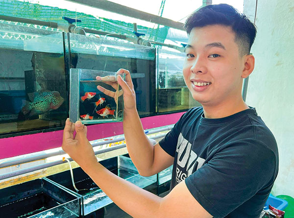Tự trả lương cao cho chính mình, anh nông dân Cần Thơ nuôi thứ cá đẹp vạn người mê - Ảnh 1.