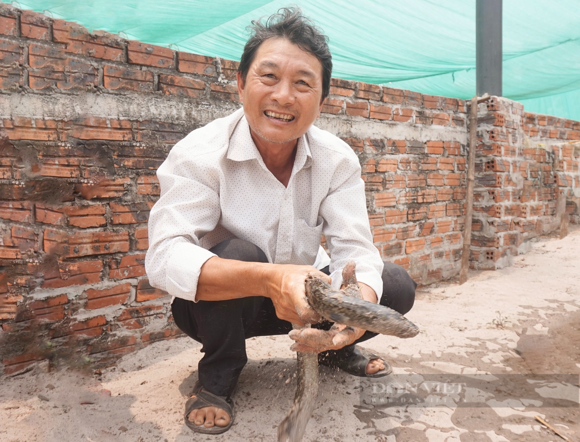 Ông nông dân Quảng Nam phất lên nhờ nuôi cá “nhà giàu” trên vùng cát trắng - Ảnh 1.