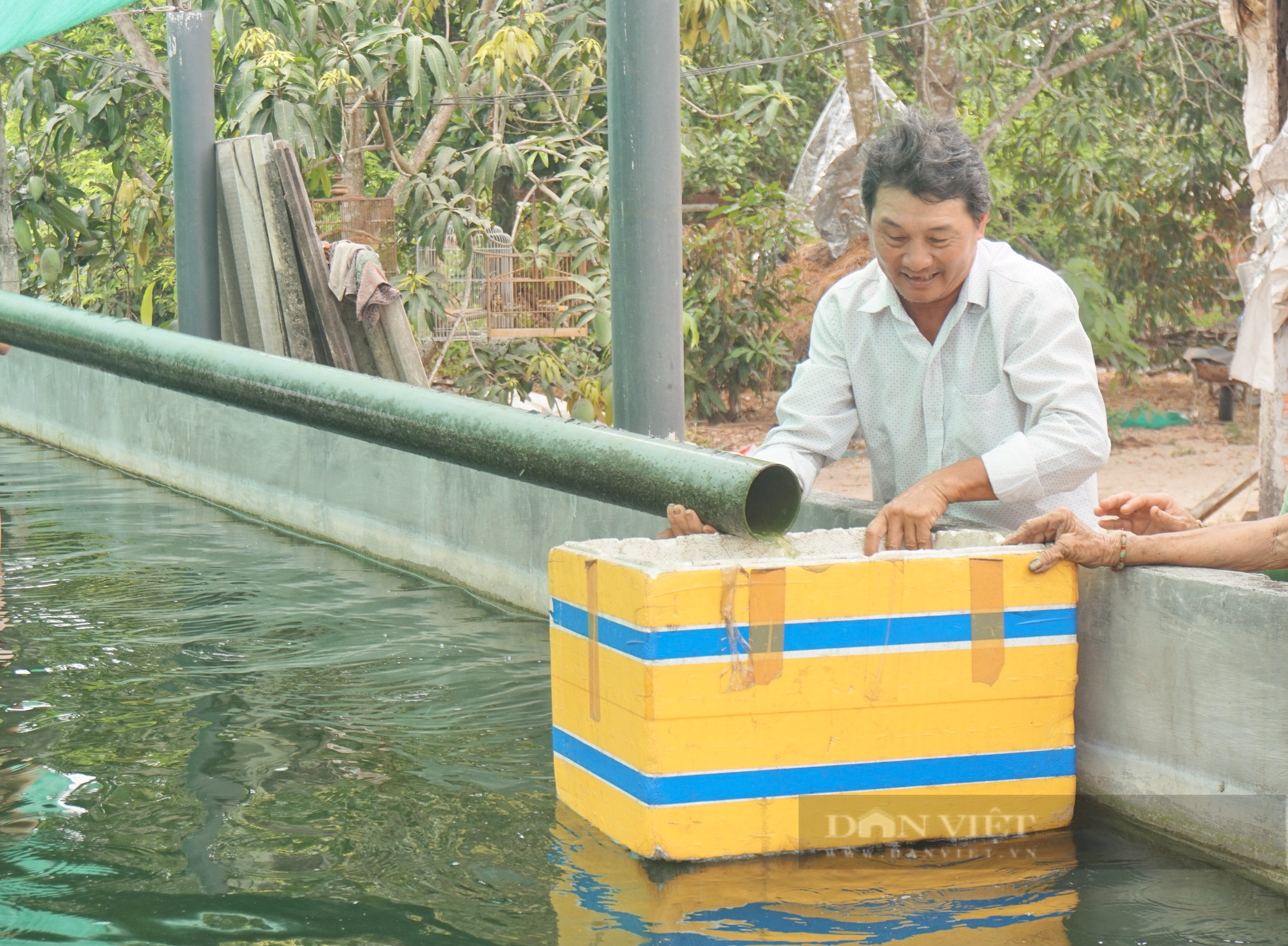 Ông nông dân Quảng Nam phất lên nhờ nuôi cá “nhà giàu” trên vùng cát trắng - Ảnh 5.