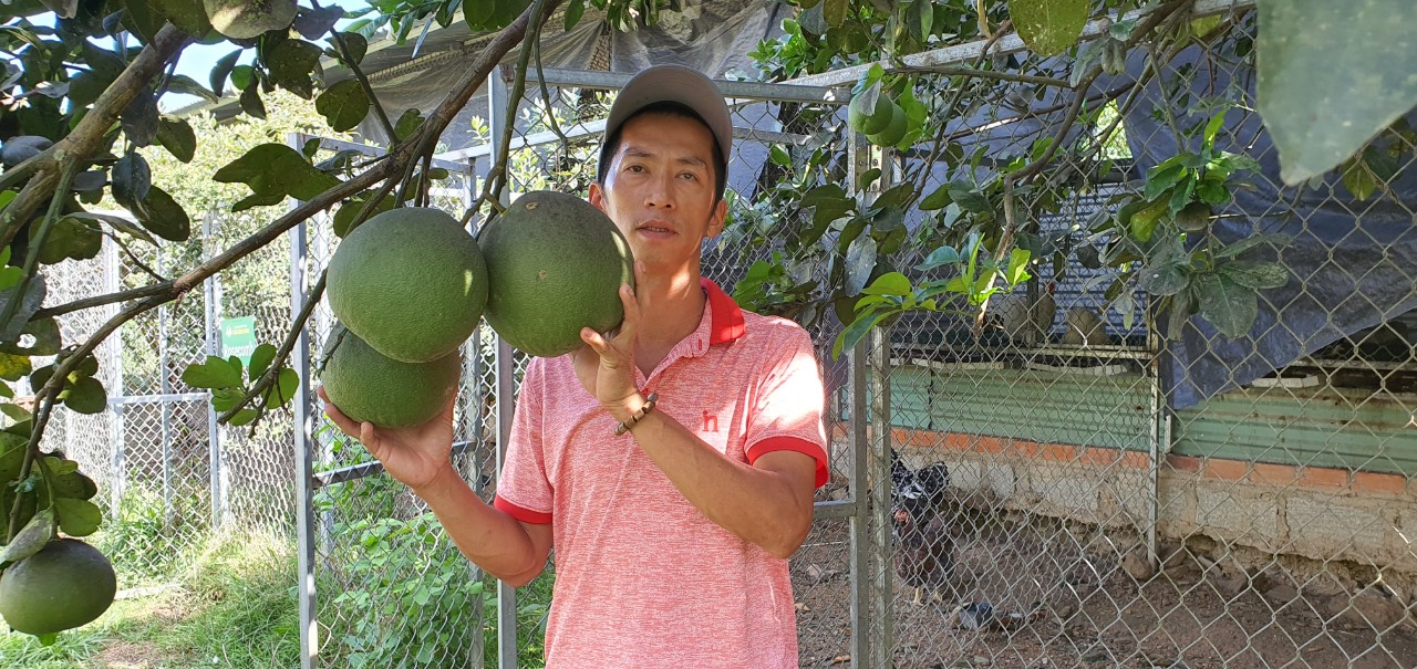 Chàng kỹ sư &quot;liều&quot; lên rừng nuôi gà độc lạ kết hợp du lịch - Ảnh 7.