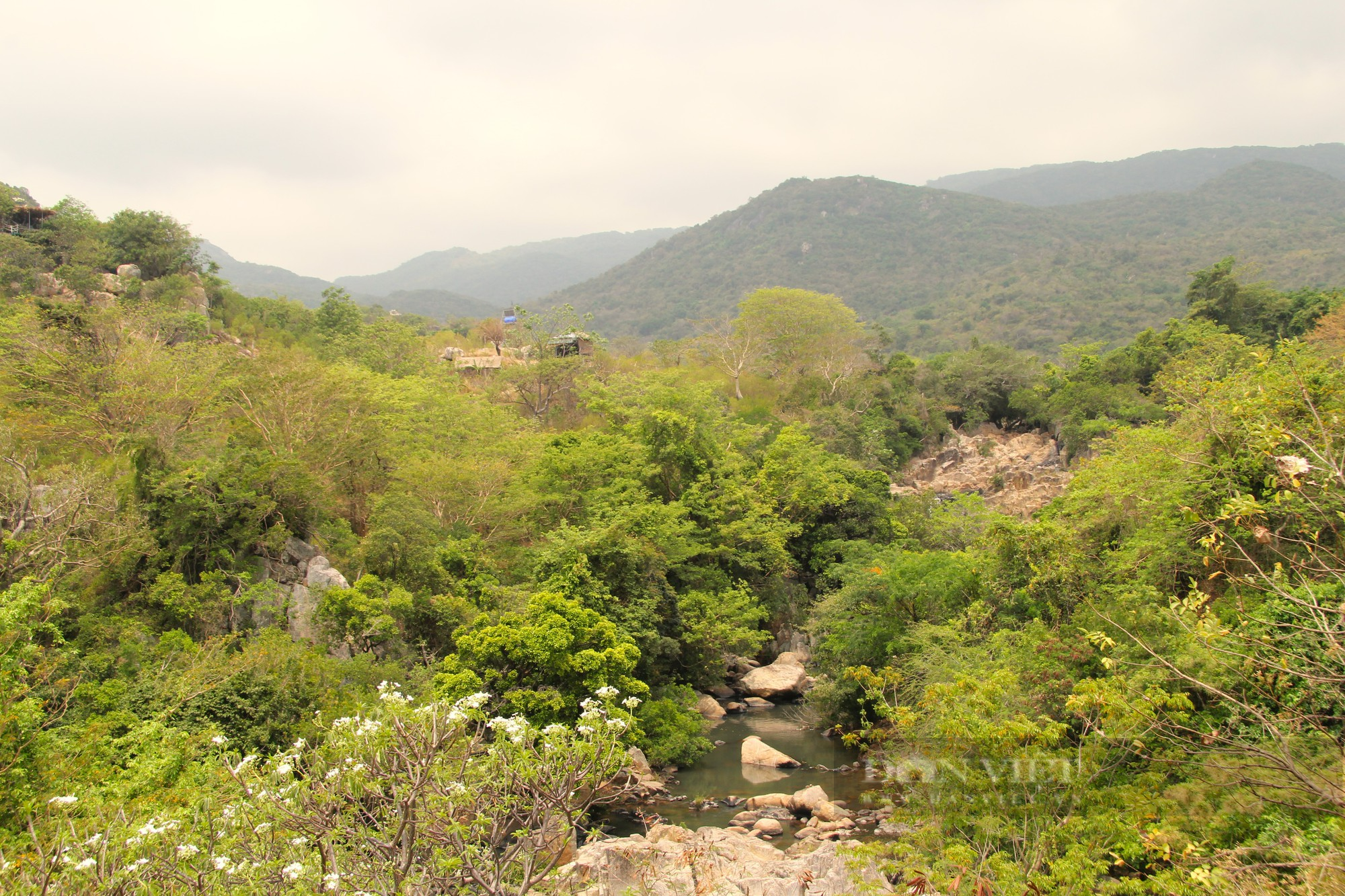 Cuộc sống người Raglai trong vườn Quốc gia Núi Chúa ở Ninh Thuận (Kỳ 2):Quyết một lòng Đảng chống giặc ngoại xâm - Ảnh 1.