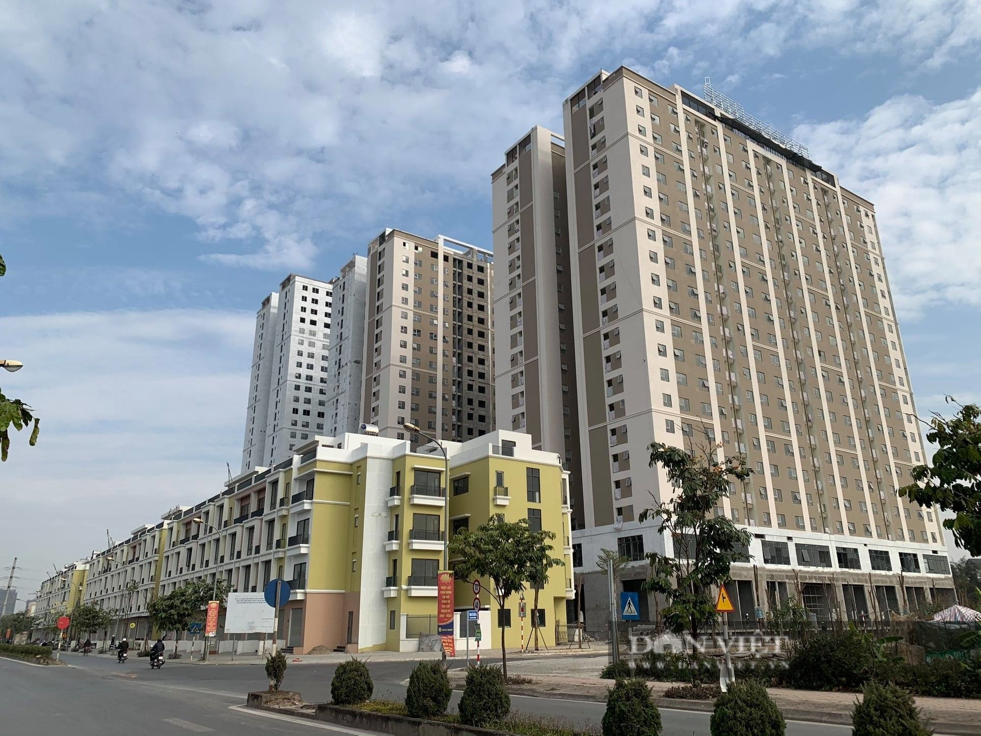 Chuyên gia “tiết lộ” 4 phân khúc bất động sản là xu thế phát triển trong tương lai - Ảnh 1.