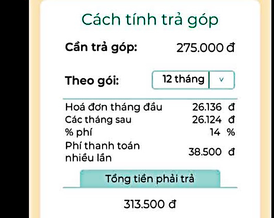 Không có tiền, vẫn mua được hàng - Ảnh 2.