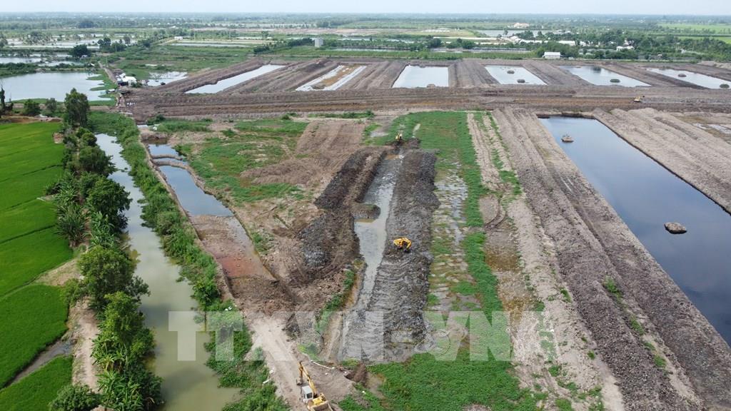 Bỗng nhiên cá nuôi dưới ao và gà, vịt bị chết hàng loạt, chưa rõ nguyên nhân ở Đồng Tháp - Ảnh 2. Bỗng nhiên cá nuôi dưới ao và gà, vịt bị chết hàng loạt, chưa rõ nguyên nhân ở Đồng Tháp - Ảnh 2.