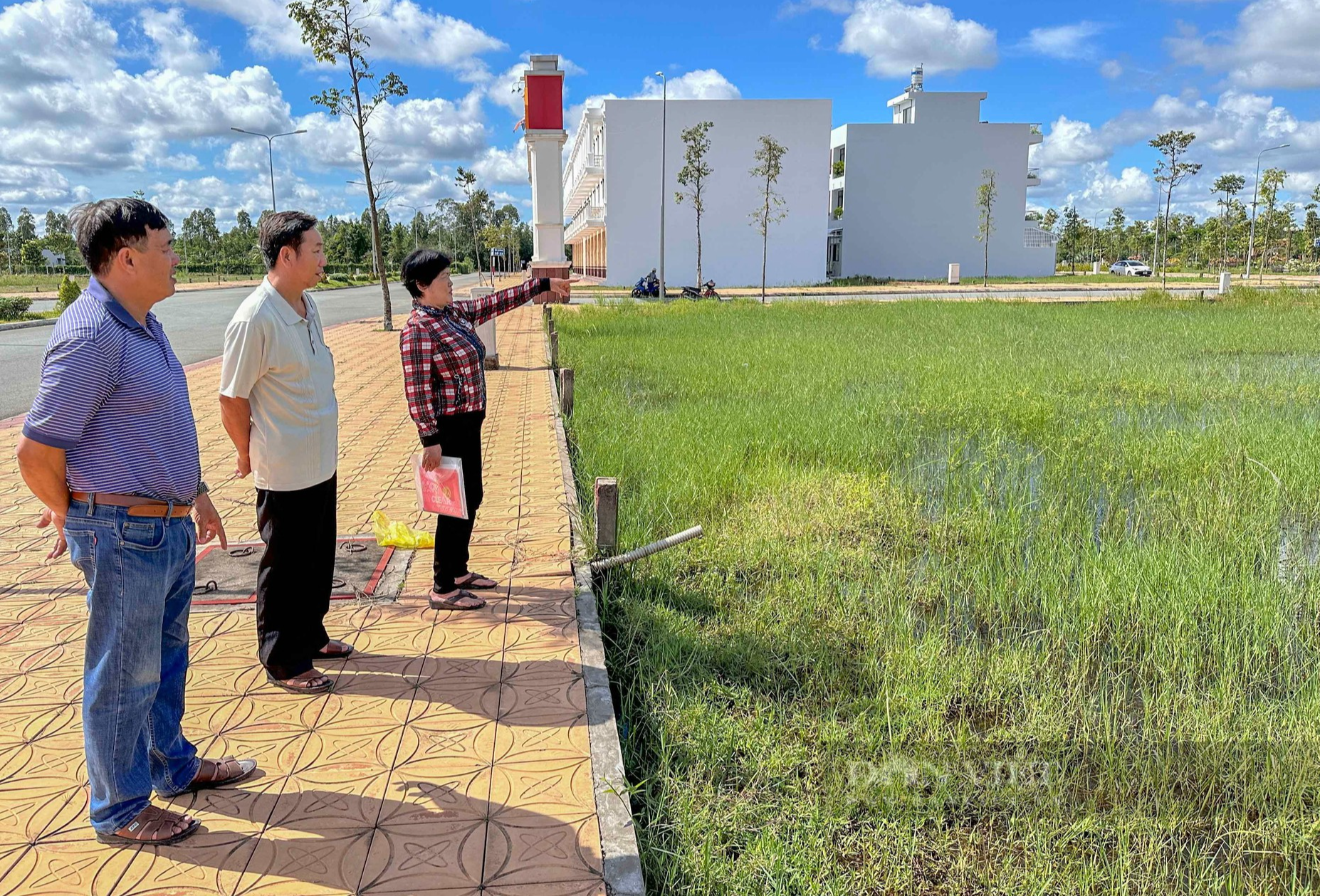Dự án Khu đô thị mới An Bình (Cần Thơ): Dân kiện UBND quận Ninh Kiều, chờ tòa xử khách quan - Ảnh 1.