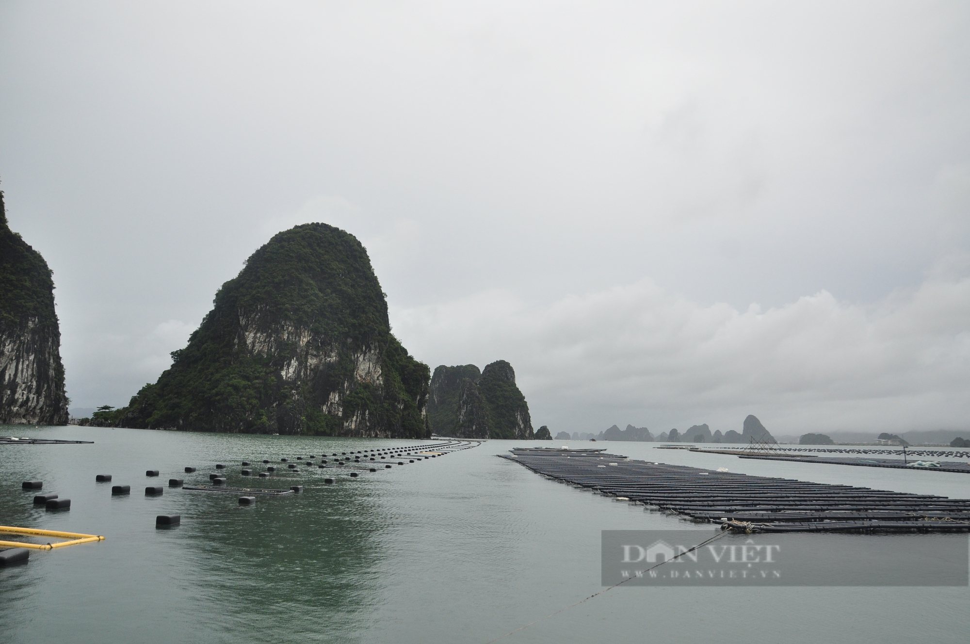 Ứng phó bão số 1 (Talim), Quảng Ninh đưa người già, trẻ nhỏ từ lồng bè nuôi thủy sản về bờ - Ảnh 1.