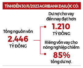 Nỗ lực tiếp vốn phát triển tam nông - Ảnh 2.