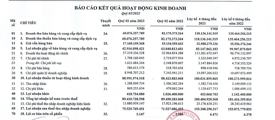 KCN Nam Tân Uyên (NTC): Lãi quý II đi ngang so với cùng kỳ năm trước - Ảnh 1.