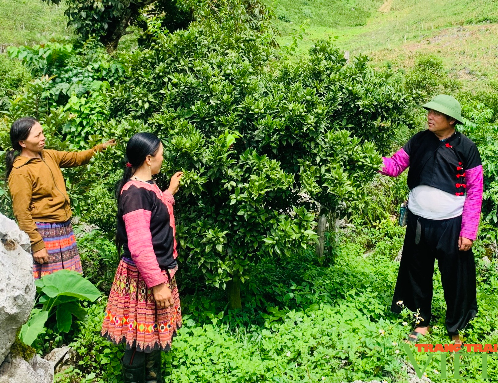 Sơn La nhân rộng mô hình &quot;Nông dân dạy nông dân&quot; - Ảnh 2.