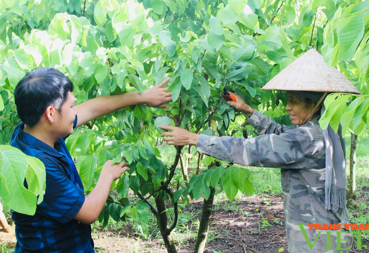 Sơn La nhân rộng mô hình &quot;Nông dân dạy nông dân&quot; - Ảnh 3.