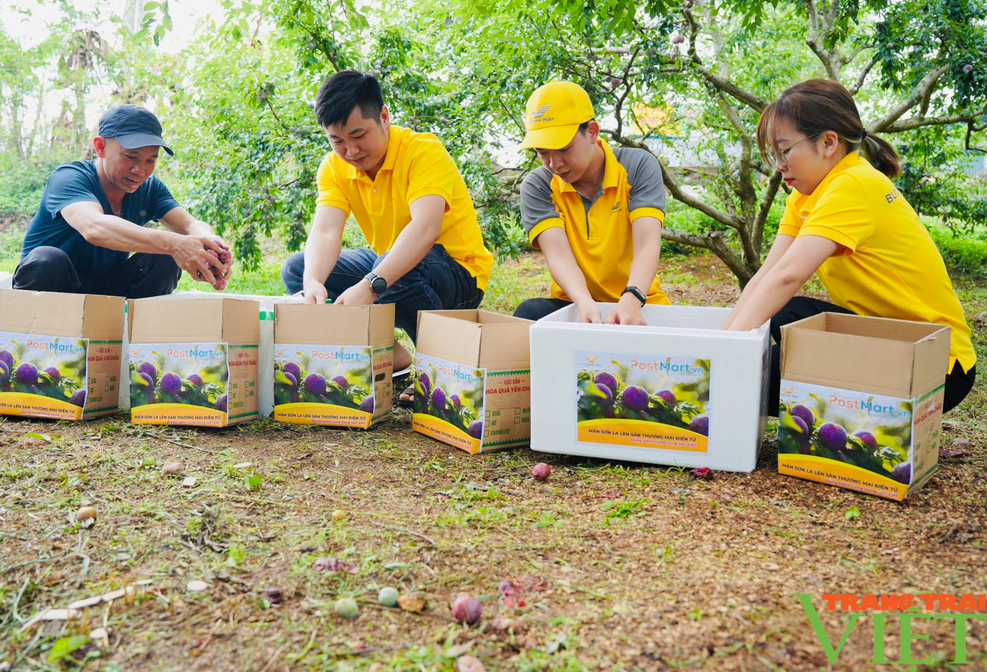 Sơn La nhân rộng mô hình &quot;Nông dân dạy nông dân&quot; - Ảnh 5.