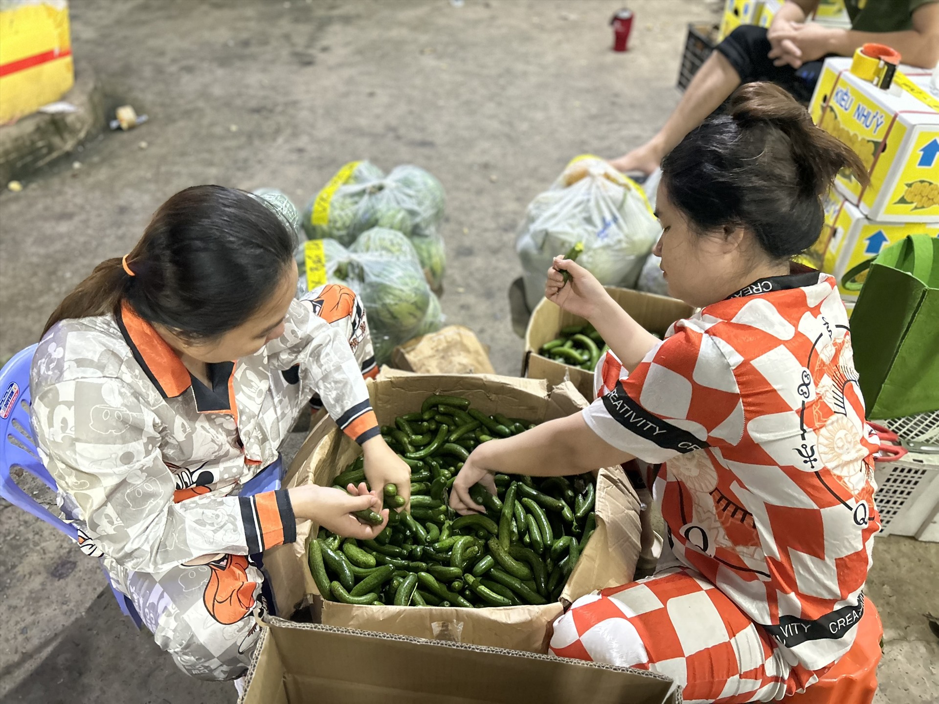Bơ tí hon giá hơn 100.000 đồng/kg hút khách mua ở TP.HCM  - Ảnh 1.