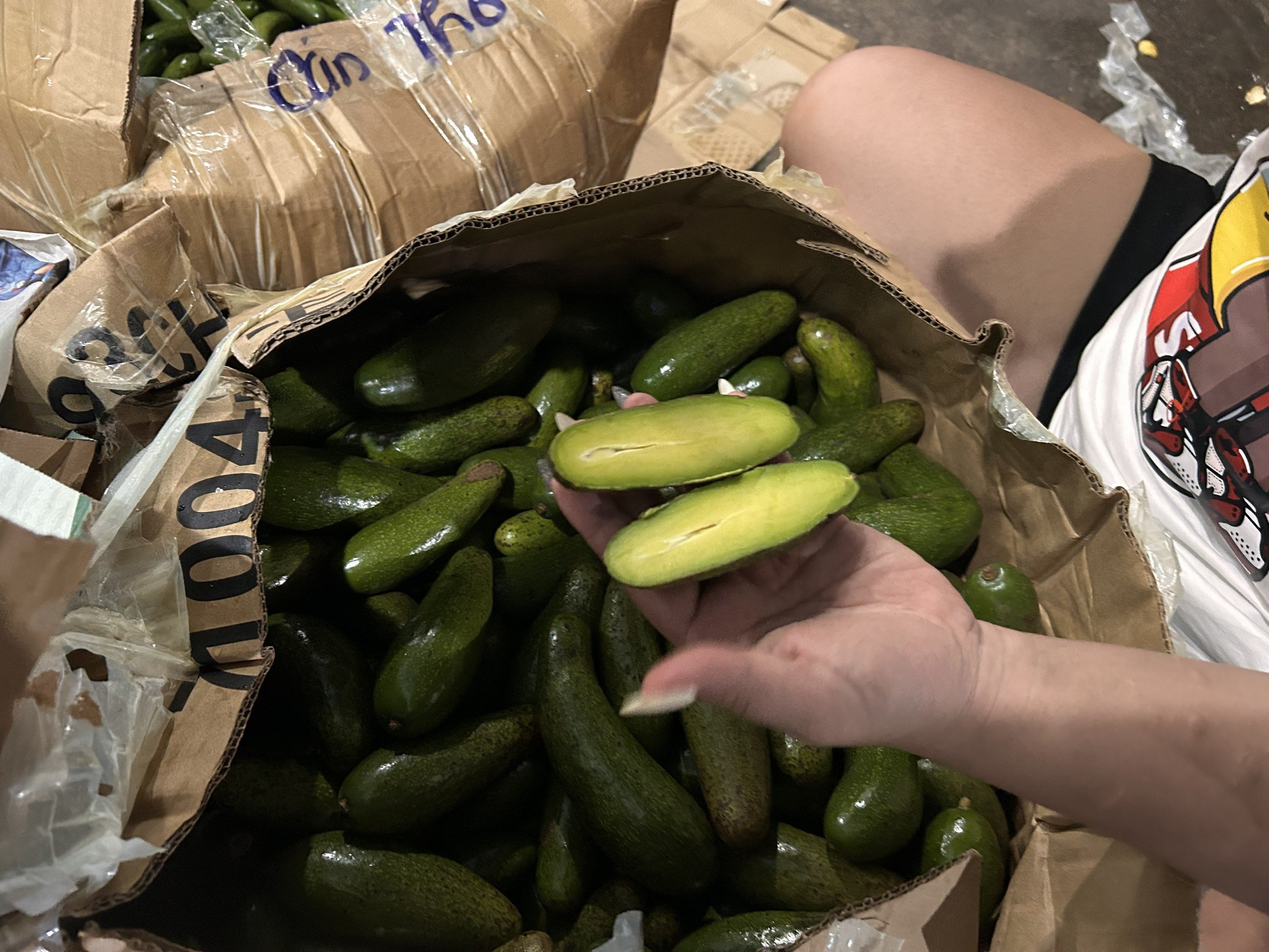 Bơ tí hon giá hơn 100.000 đồng/kg hút khách mua ở TP.HCM  - Ảnh 2.
