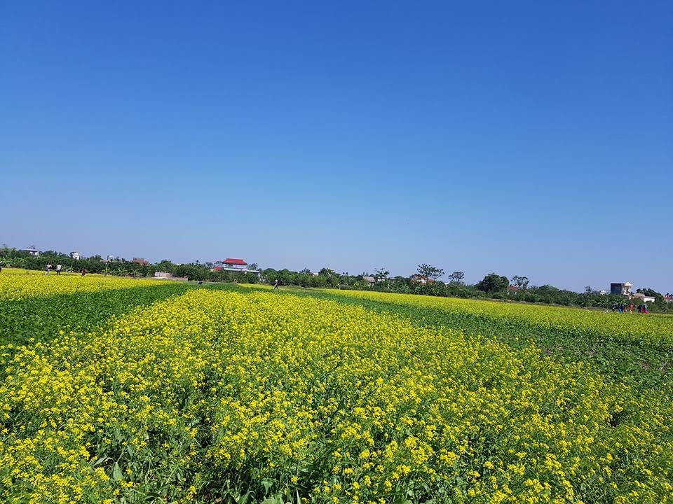 Ký ức Hà Nội: Một ngày ở Thủ đô đong đầy cảm xúc thương nhớ - Ảnh 1.