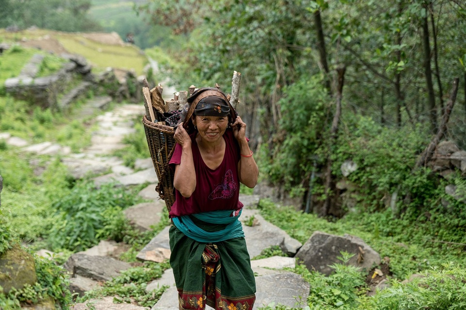 Loạt hình ảnh kề về việc săn mật loài ong lớn nhất thế giới ở Nepal - Ảnh 3.