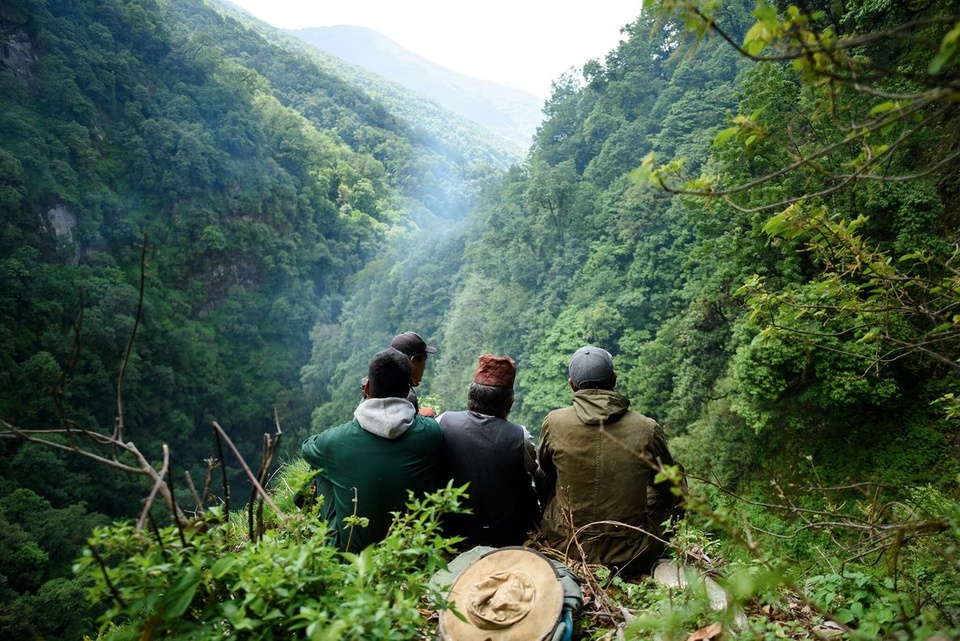 Loạt hình ảnh kề về việc săn mật loài ong lớn nhất thế giới ở Nepal - Ảnh 4.