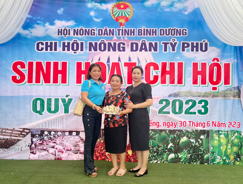 Từ 6 con chim yến ở đâu bay về làm tổ hơn 13 năm trước, chị nông dân Bình Dương thành tỷ phú - Ảnh 1.