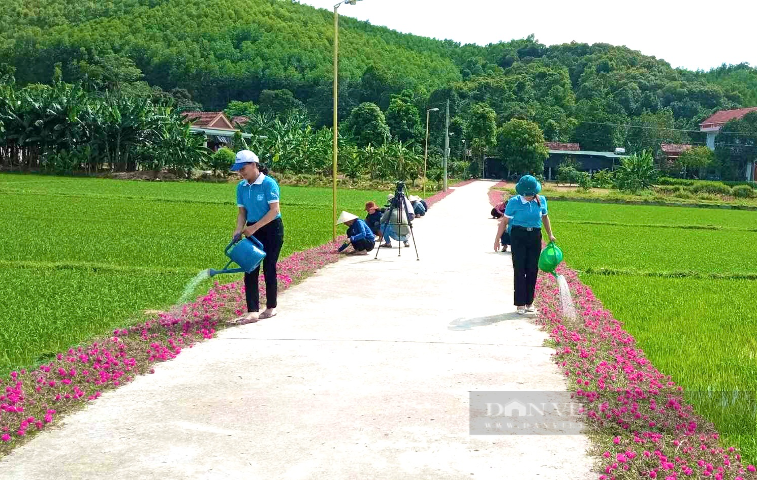 Quảng Bình: Đường hoa mười giờ ở xã vừa về đích nông thôn mới đẹp như phim, người dân thích thú đến check-in - Ảnh 2.