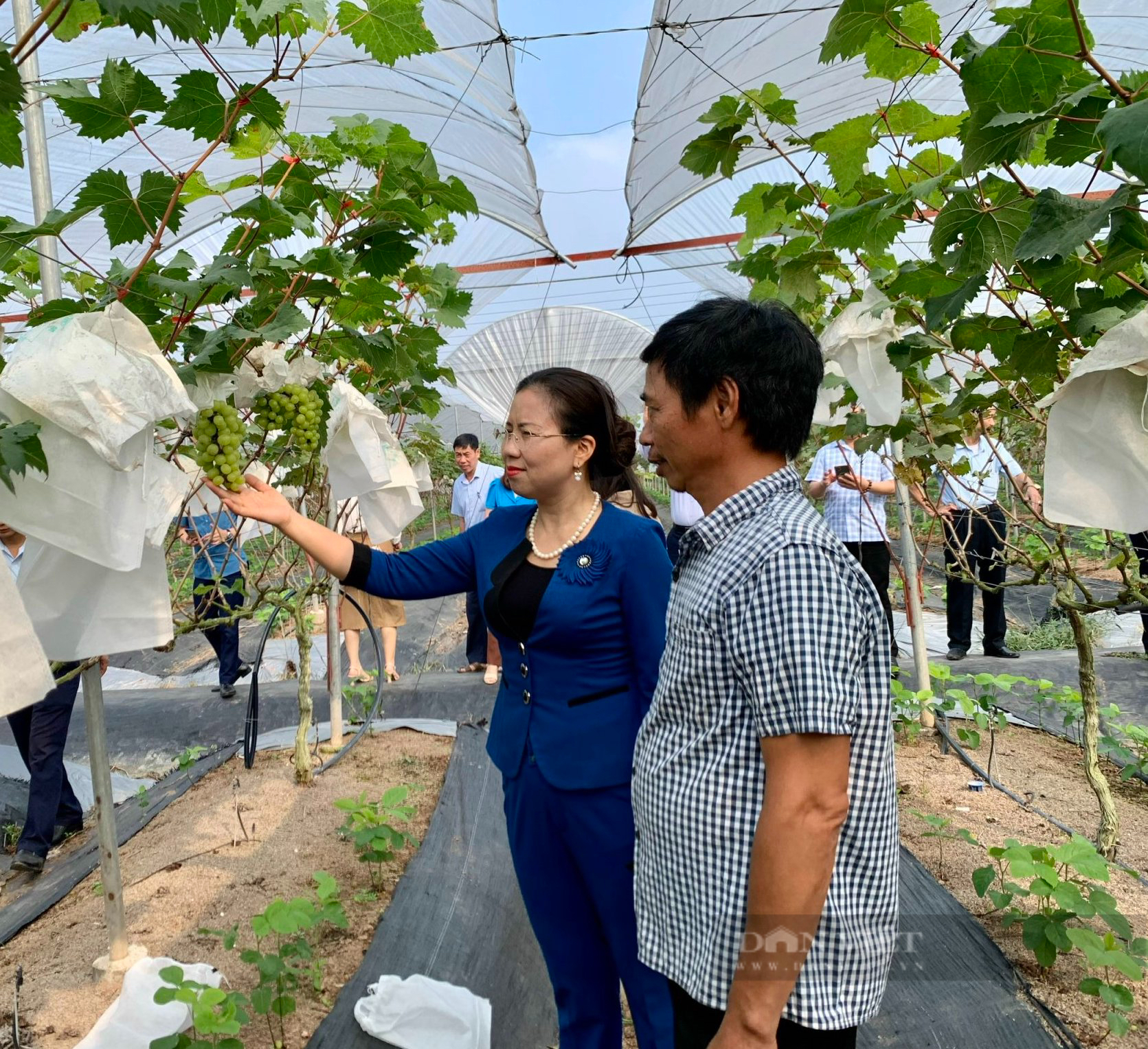 Chính phủ ban hành Nghị định về thành lập, tổ chức và hoạt động của Quỹ Hỗ trợ nông dân - Ảnh 2.