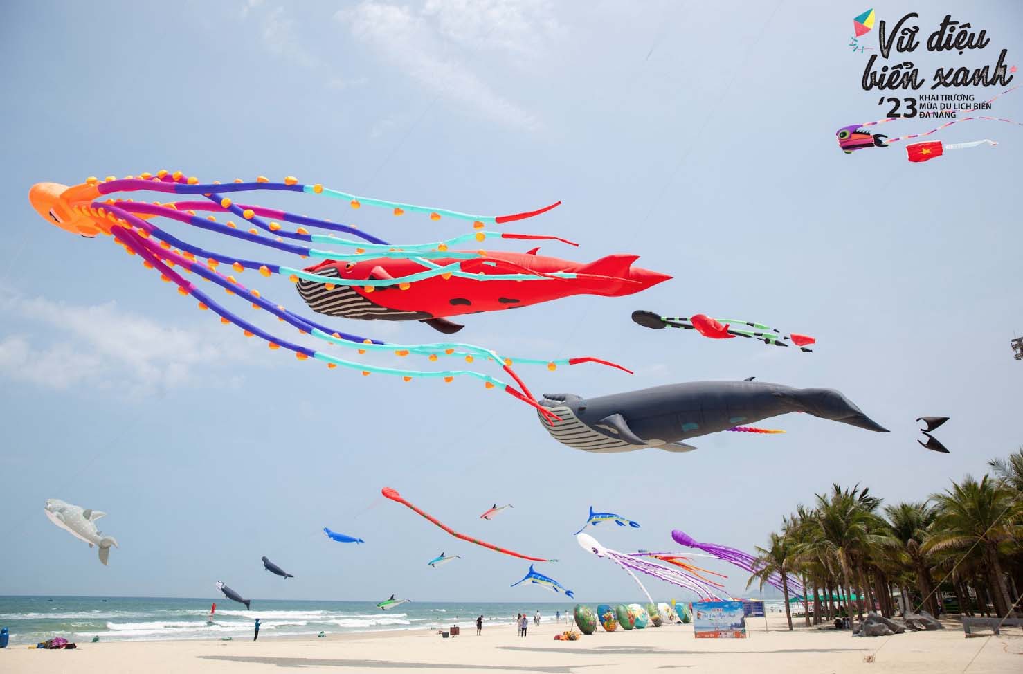 Đà Nẵng tổ chức nhiều hoạt động sự kiện, tour “Tận hưởng mùa hè” - Ảnh 4.