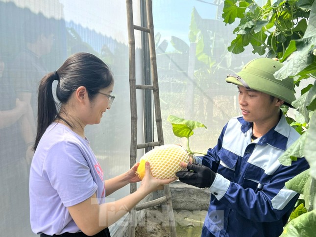 Chàng kỹ sư điện 9x về quê &quot;bắt&quot; ruộng khô bạc màu &quot;đẻ&quot; ra tiền - Ảnh 8.