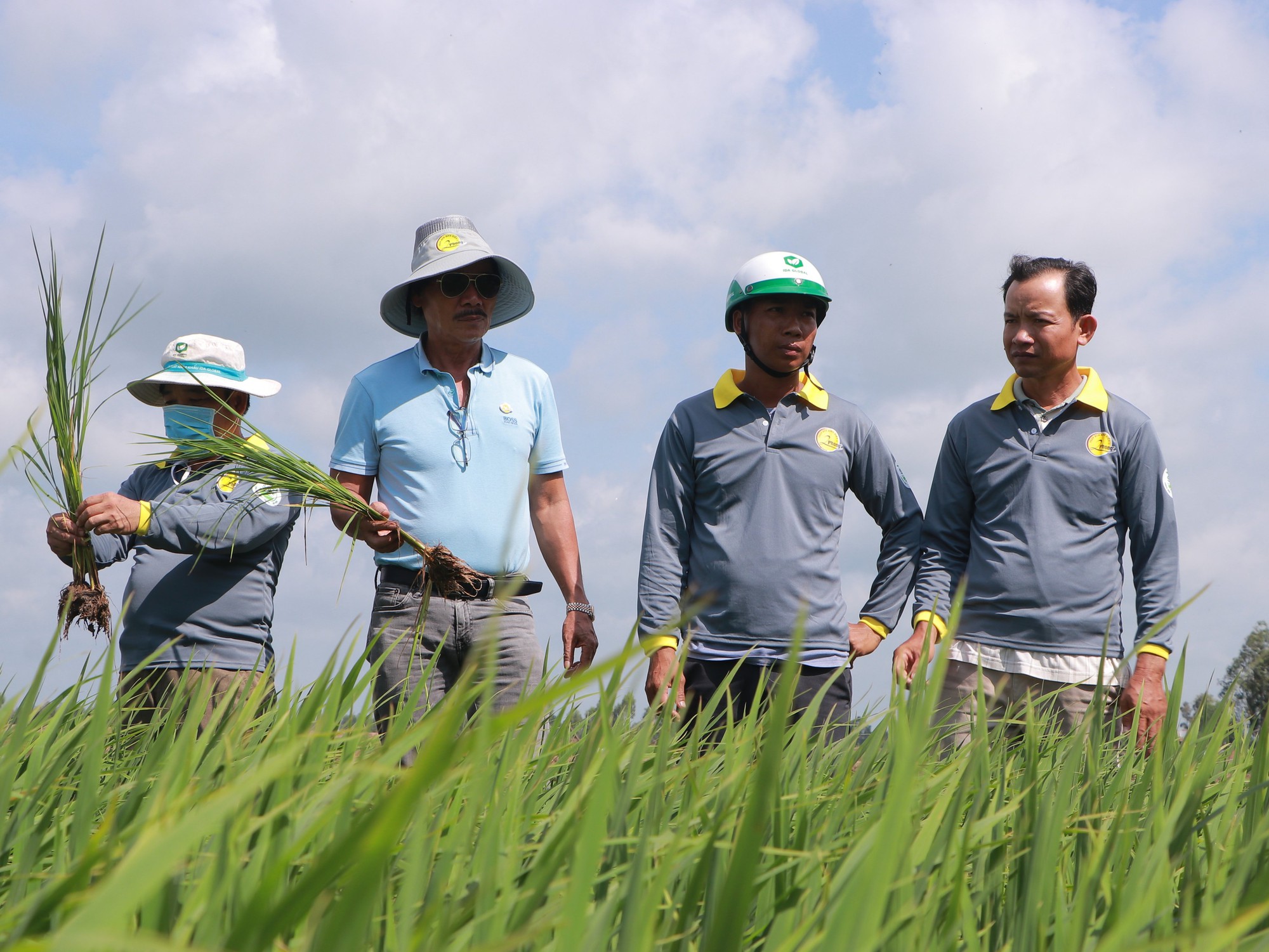 Nhờ đâu Phân bón Bình Điền II - 2 Phong thắng lớn? - Ảnh 2.