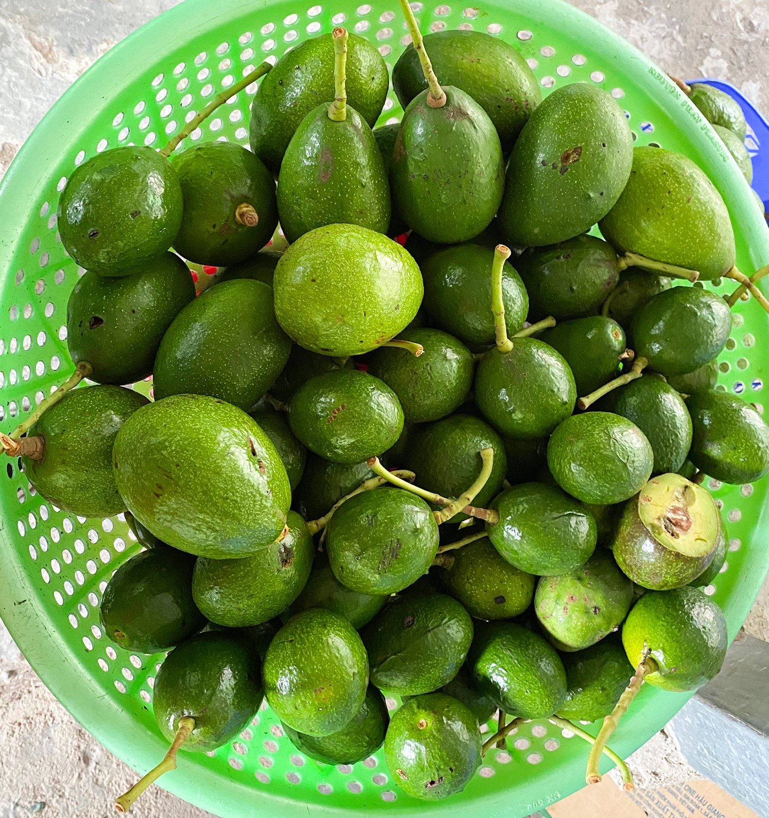 Một ngọn núi cao ở An Giang, lên đến nơi thấy dân gánh vô số trái cây, sầu riêng là thứ quả ngon nhất - Ảnh 18.